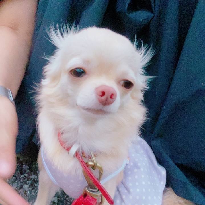 3f4c9451 351d 4fb2 a3a3 98af4b921934 1631451872394