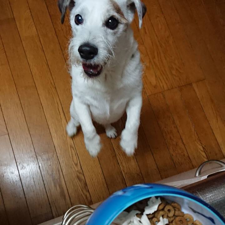 3f4cdf33 d82a 4f72 9ef2 826c5b489197 1567468241822