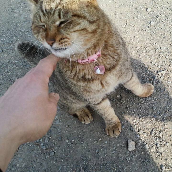 3f4ce654 56b3 4abe bf51 271f59954e53 1522288815424