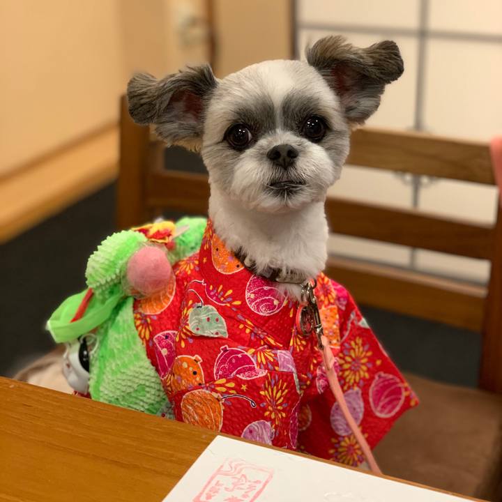 3f4cea25 04c1 455f a2df 24503f3d478b 1572131511408