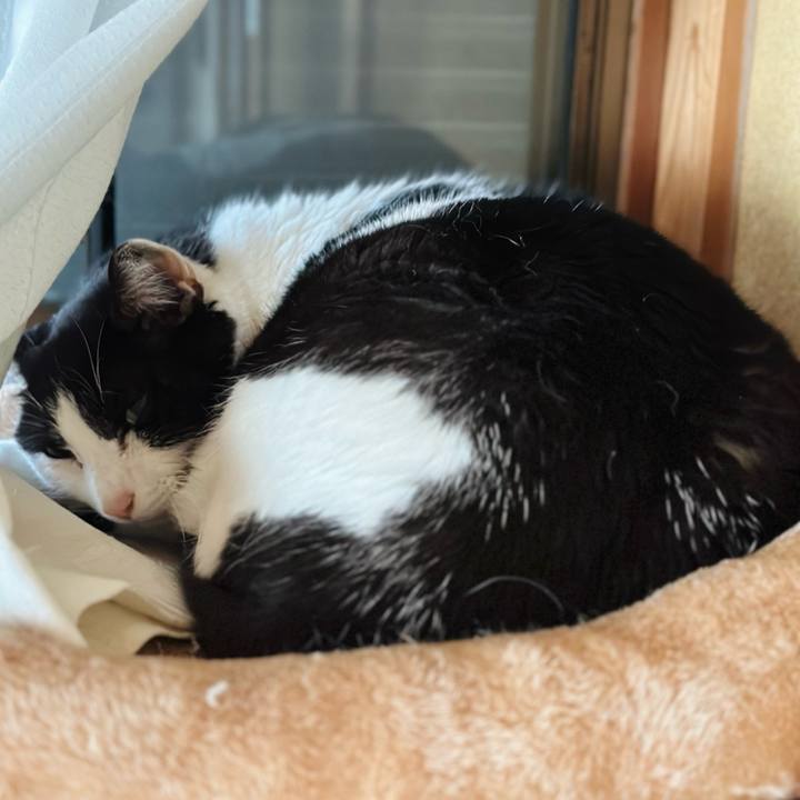 3f4cec80 c5e1 40b3 a138 8596f36c3c2b 1716088889352