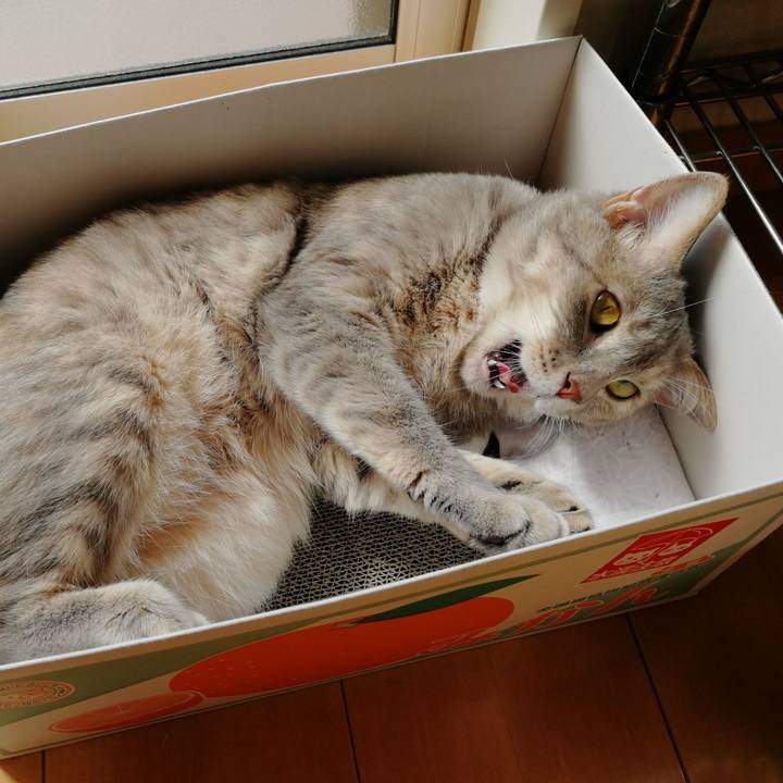 3f4cee84 6cf4 479b 9ac5 95f14ebb3e2d 1530688266985