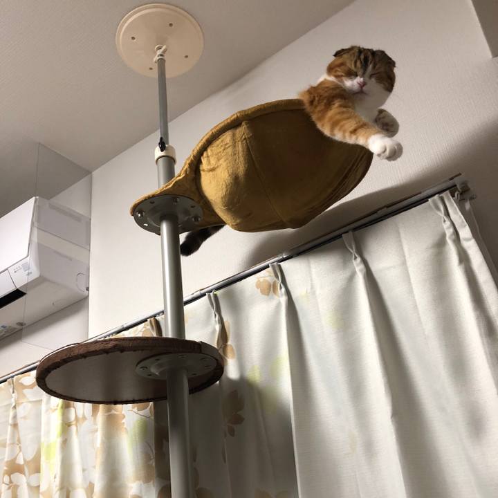 3f4d16c5 4db4 45bc 9527 5ab4ae86e309 1532084983265