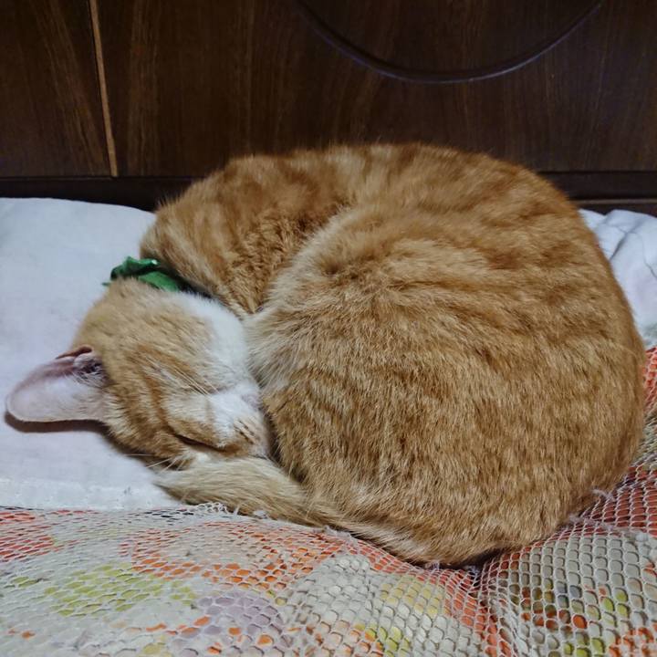 3f4d1cd6 05c6 42ec 8d29 0b66bb8ecb7f 1585654660788