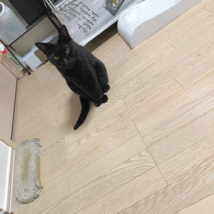 3f4d25e8 2c41 47f7 bb12 dda6a7699927 1637755609719