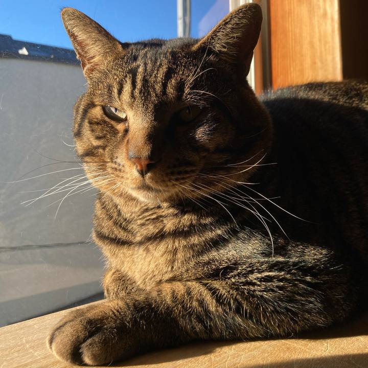 3f4d2f44 d56f 4ffe 9894 ff528010e509 1675487988927