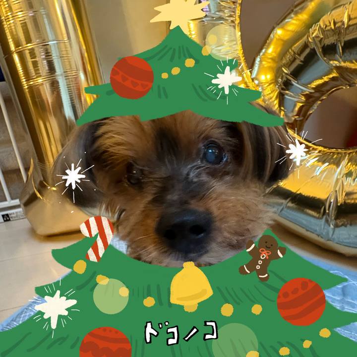 3f4d356a b26b 46e1 83cf 1855ec8716e5 1761303456755