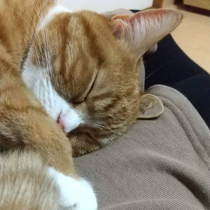 3f4d49ed bc6c 4e5e 815b cb460b9a4909 1671019801814