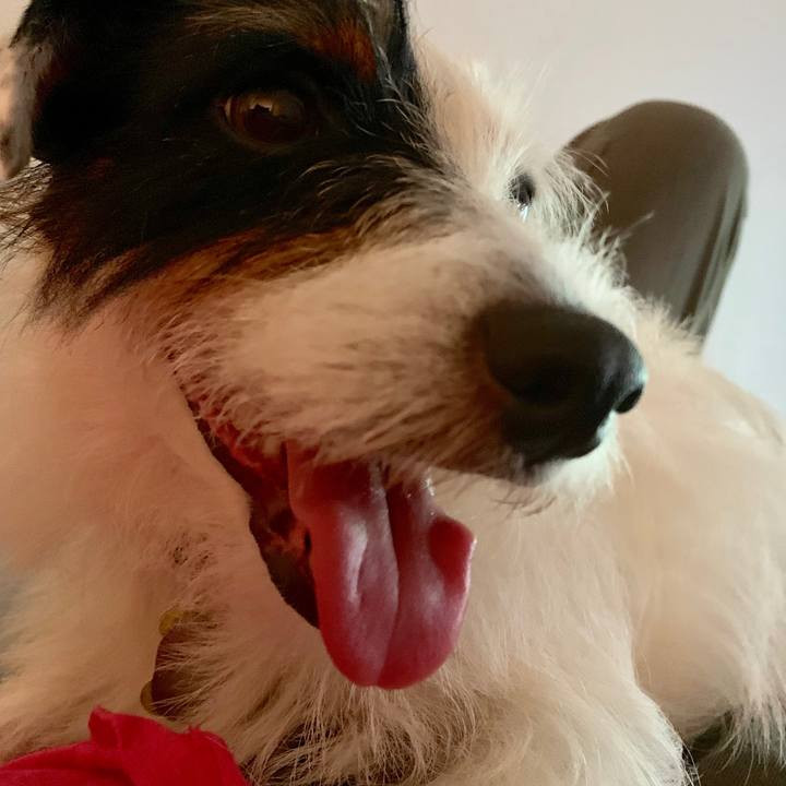 3f4d502c d371 4e29 b40a c79239ca360c 1565875446855