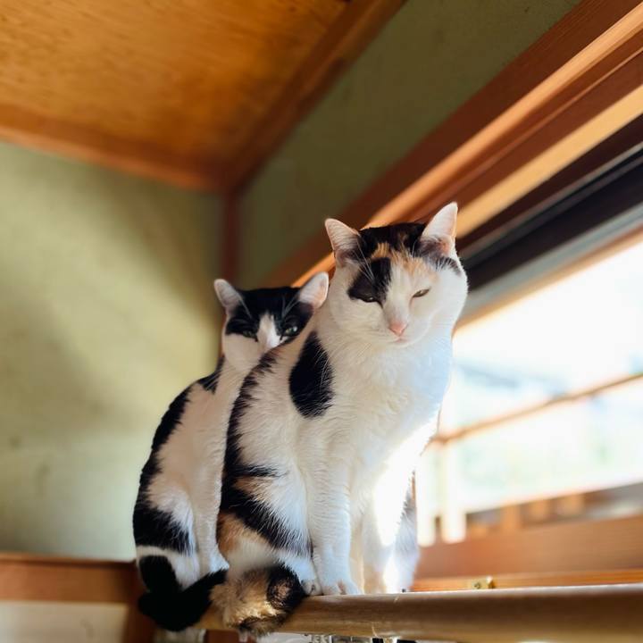 3f4d5d25 d092 40ce 81f3 ba6587a52ccc 1643943577836