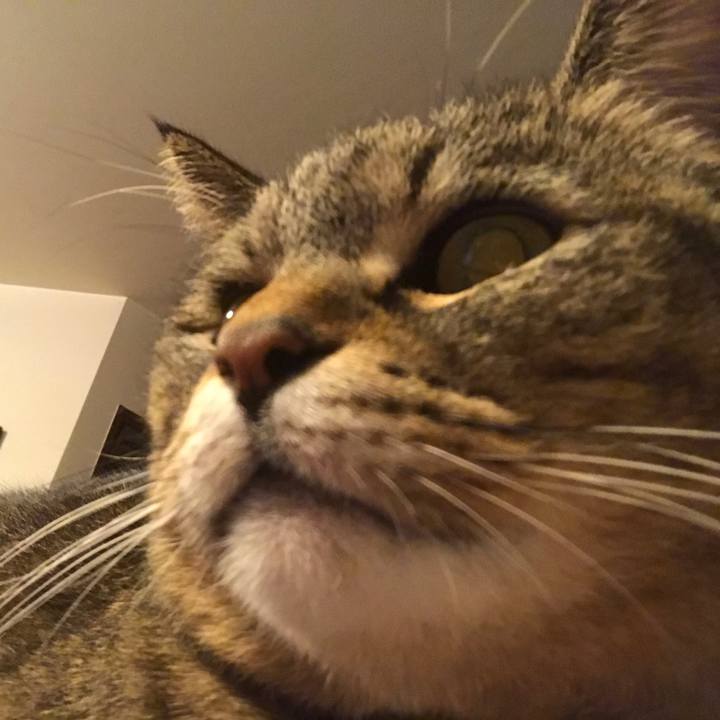 3f4d6c22 b399 4ae4 9053 3fbaaaa4dc70 1519904152423