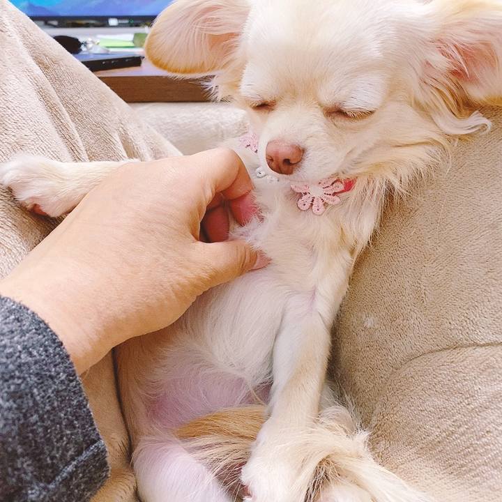 3f4d9845 6ddd 4caa 93ff 7d4b89b9f5f9 1616299793430