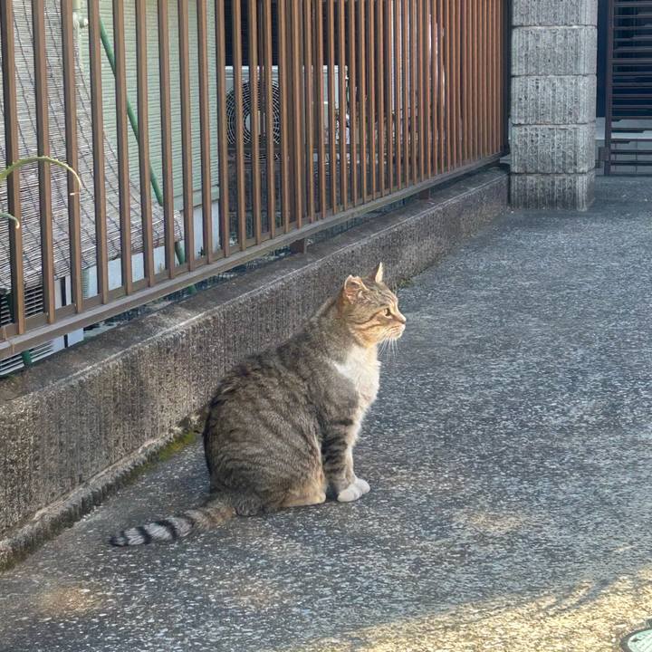 3f4da388 c410 45d5 a8ae 1d10cd6f780e 1770028047840