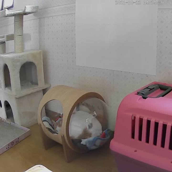 3f4dbd46 ec4d 4da6 b2fb 60024f165bb7 1634914771500