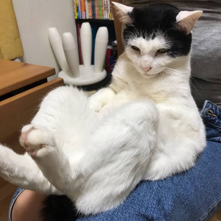 3f4dd54d b3fe 488b a123 ac41c5ff9eee 1562332046020