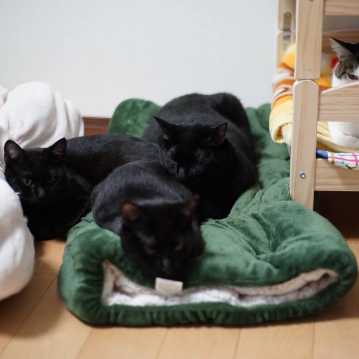 3f4ddb69 78fa 4a45 8506 264a851eb97e 1518684884728