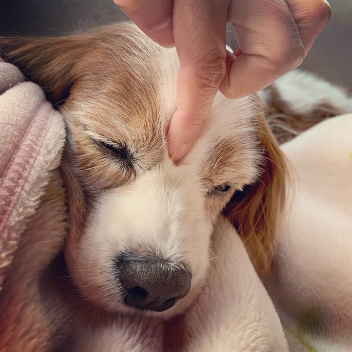 3f4e2c3f b61b 45c5 a533 6189bb02fc2e 1578960130316