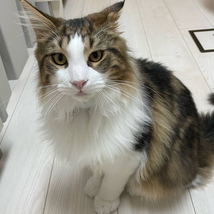 3f4e6259 7cde 4ec5 af26 55dcf82db722 1641413498293