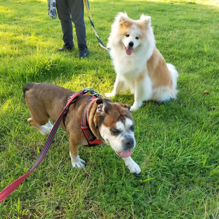 3f4e7080 2c89 43f2 91a4 732bd7c8f092 1628086368509