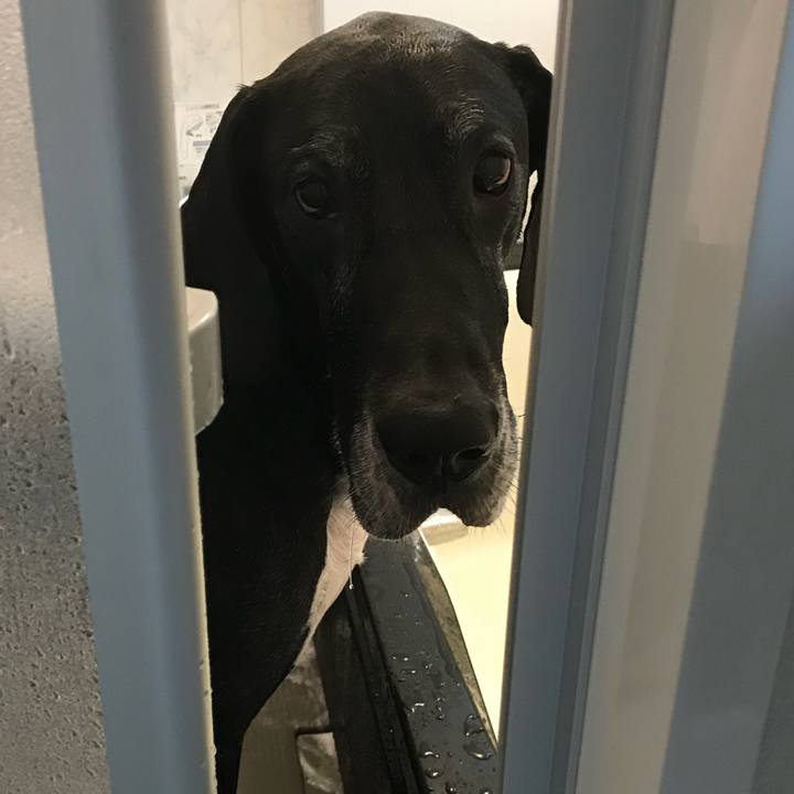 3f4e70ab b9ae 4fd8 845f c972cbeb5fbe 1515376145978