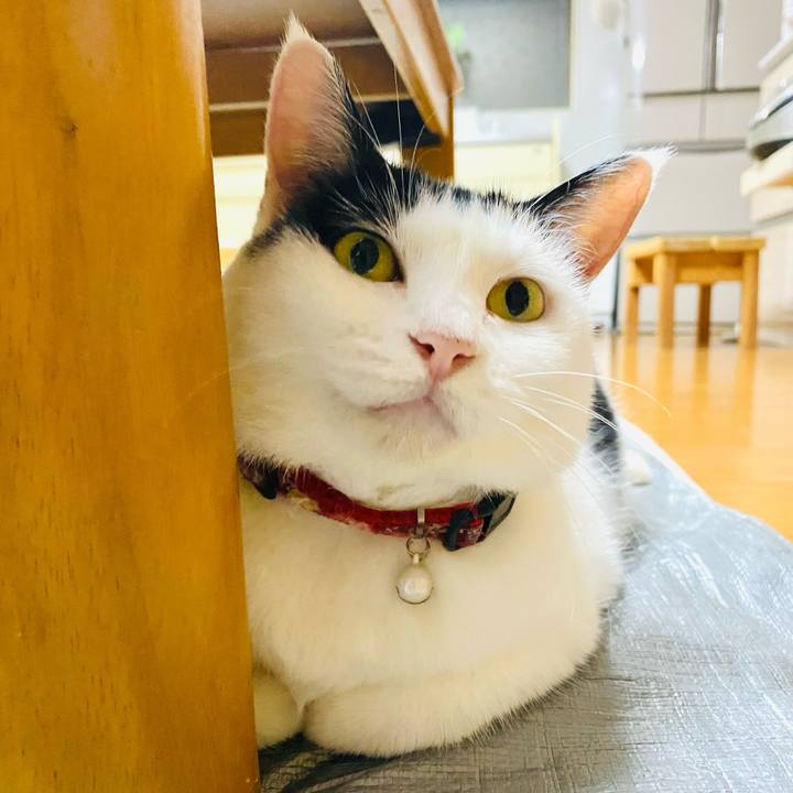 3f4ecb1b a598 411e ae15 8374083e4e34 1691671891369