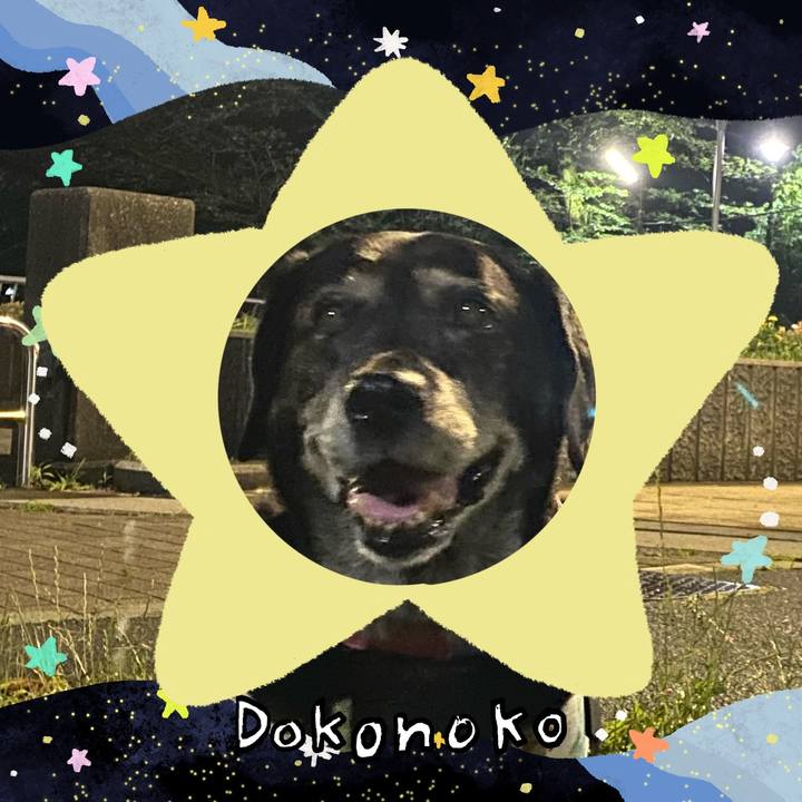 3f4f084c b610 41ee 958e 7a645d4dac7f 1720928758638