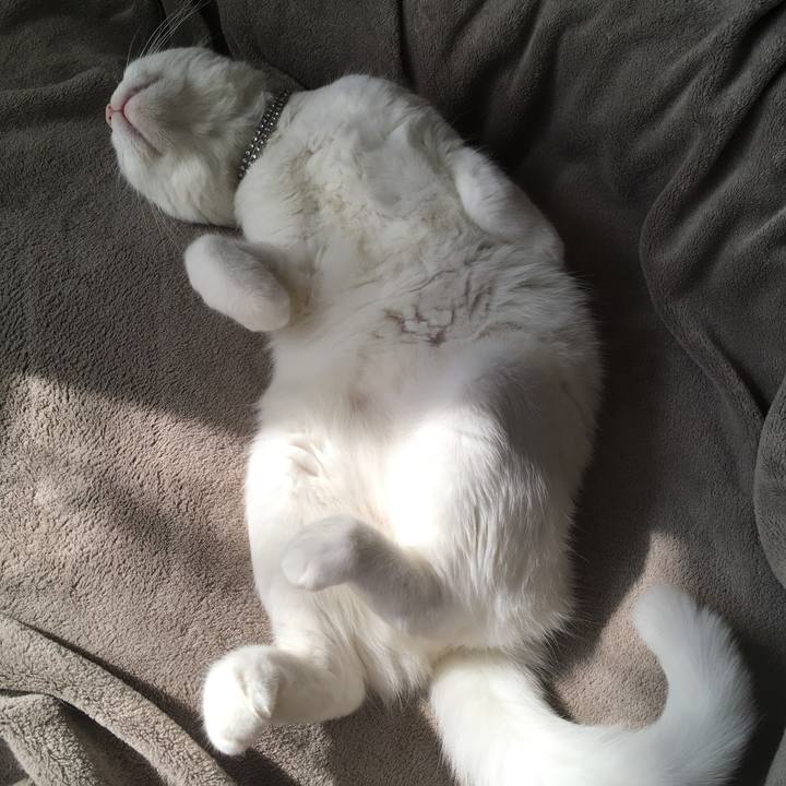 3f4f4cad cb3d 459b bb1f 367947244f1e 1509850914305