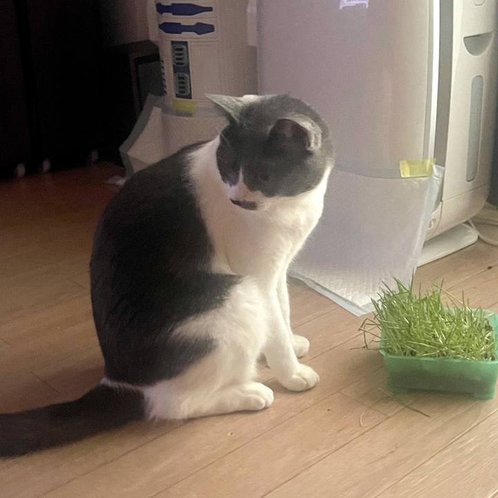 3f4f908b 4a56 4d67 87e4 ce00a67d50cd 1629924802062