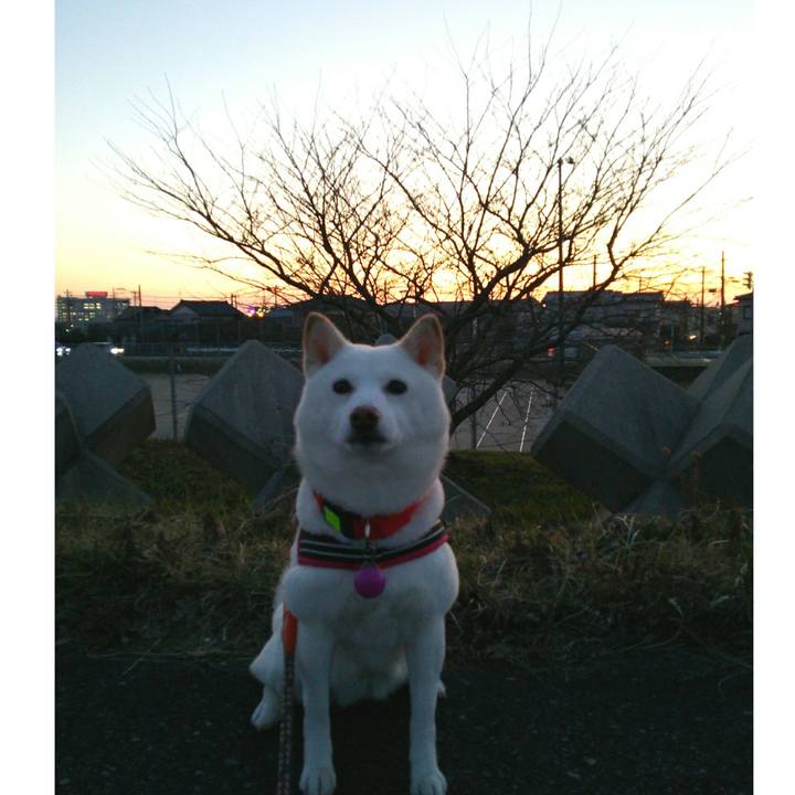 3f4f9b16 7f8d 4f3a 91f2 c3ebefdfb6a4 1551000981429