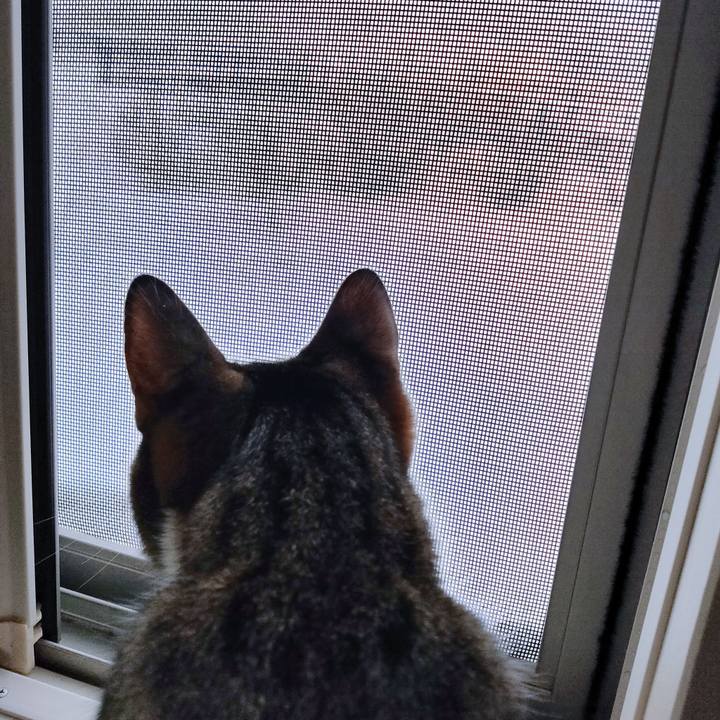 3f4faac9 b53b 44fc 9acd a87a05e720b4 1674620195994