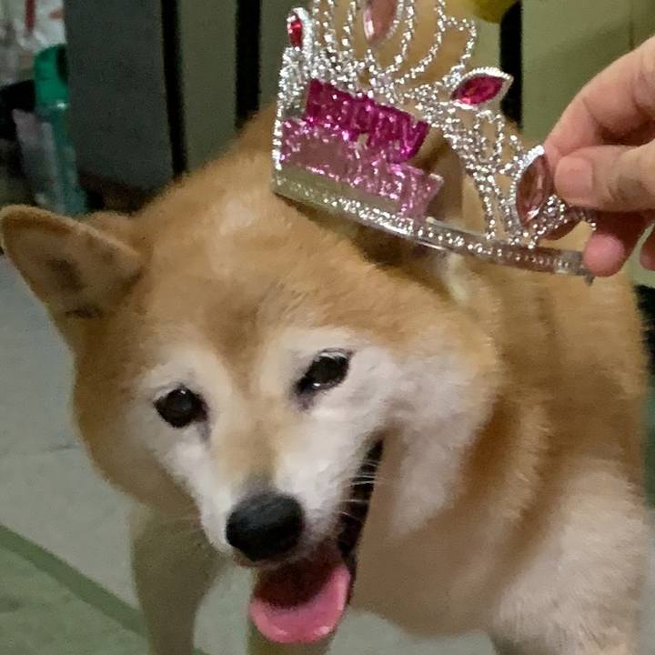 3f4fc00e dc05 4c22 ab5c 6f8e1a8f2bf9 1693653725170