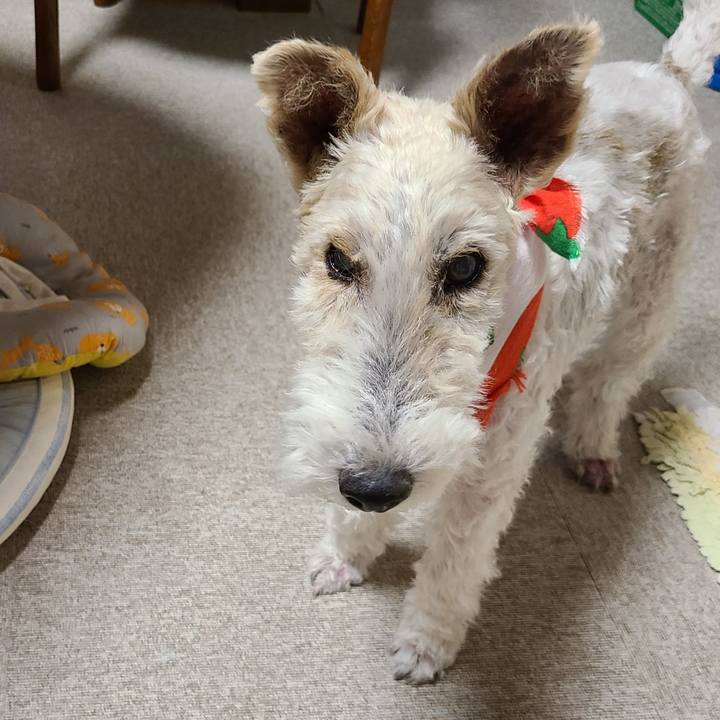 3f4fc8fc 4778 45c2 82ee e2bd7cc2108b 1658397381932