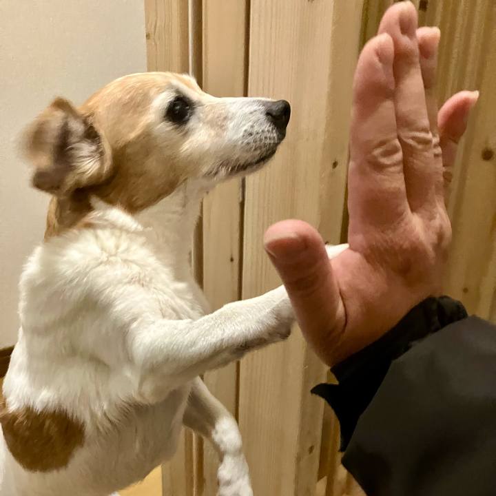 3f4fd8bf 5933 4e0a b050 90553adfc0d7 1702301788314