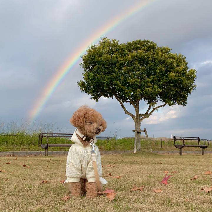 3f4fe481 587d 40f9 bb01 dc0146bae0ba 1763730100684