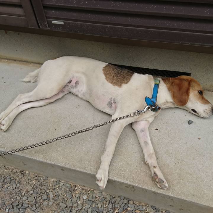 3f4ff3f4 71bd 4902 b5f5 7c566c4aae76 1561813595044