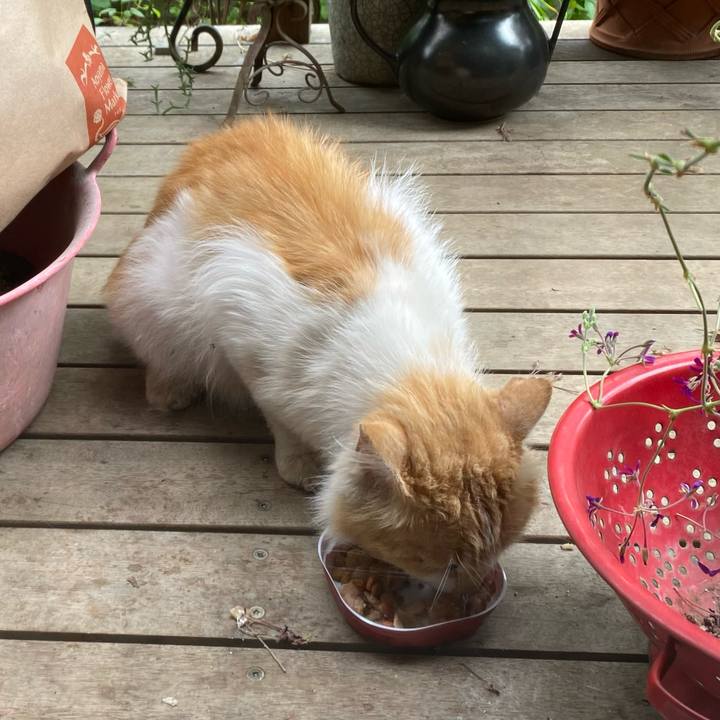 3f500343 bfd1 4d3f bc4b bbcb5deaa634 1657064868137