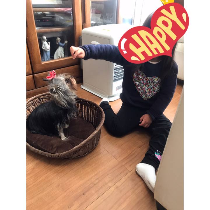 3f500d4b 0d51 47b9 9273 afe0774e8e92 1639297885198