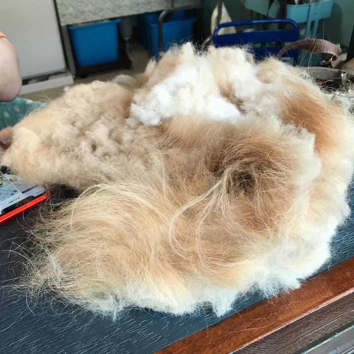 3f500e25 b3e1 43d4 8316 4b16234efe7f 1594035460641