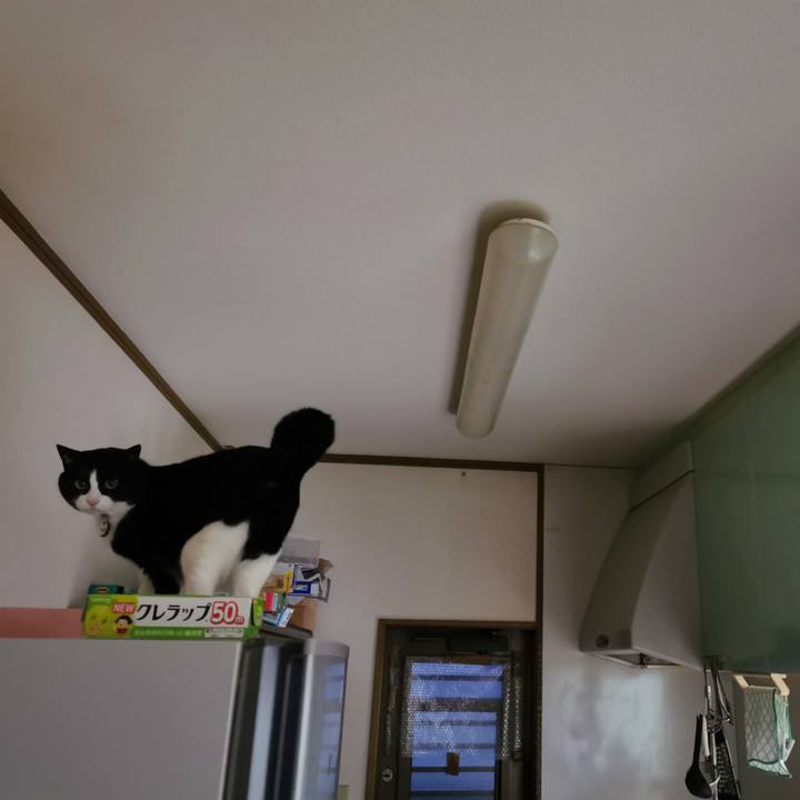 3f500f19 9f2a 4952 a1ab 9410829aedfc 1648009248582