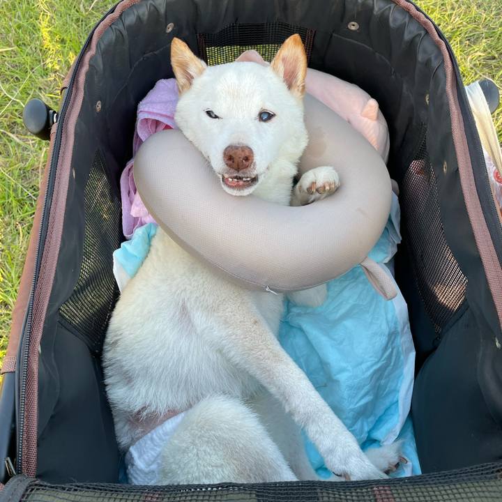 3f503598 3684 48a1 be85 2594e3f5c343 1667385233987