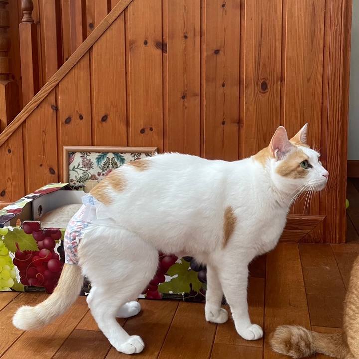 3f5048ac 5c42 4b39 92fd e9e5f344e830 1688536362909