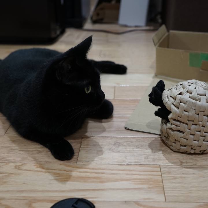 3f505039 01d7 45c9 989b fd9f4c3be1a2 1563493101475