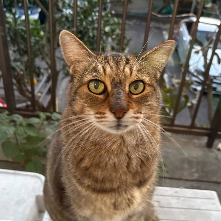 3f506c9a 71de 4ee5 a6f0 a0b9887cc9ad 1763194749881