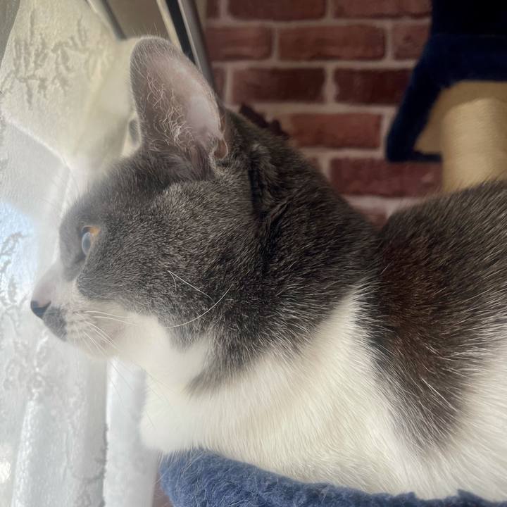 3f506ef5 e22c 4aa9 90f7 fe766afc74ef 1646528984084