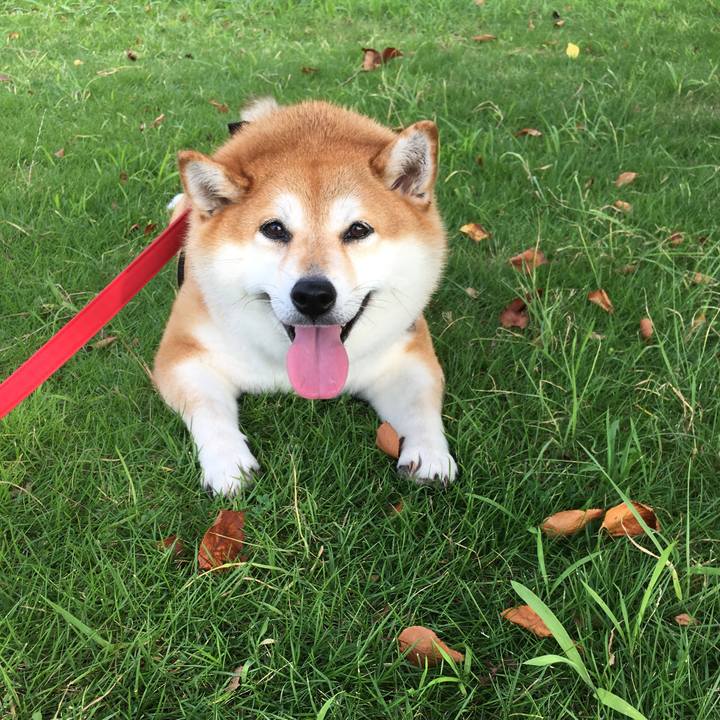 3f5083d0 b726 4e0f b066 b3c939557b37 1597019494958