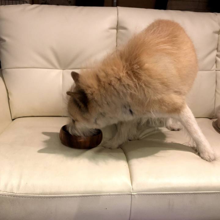 3f5085bc 4f51 441b bb3e 5a0f5b18ce5a 1565181428081