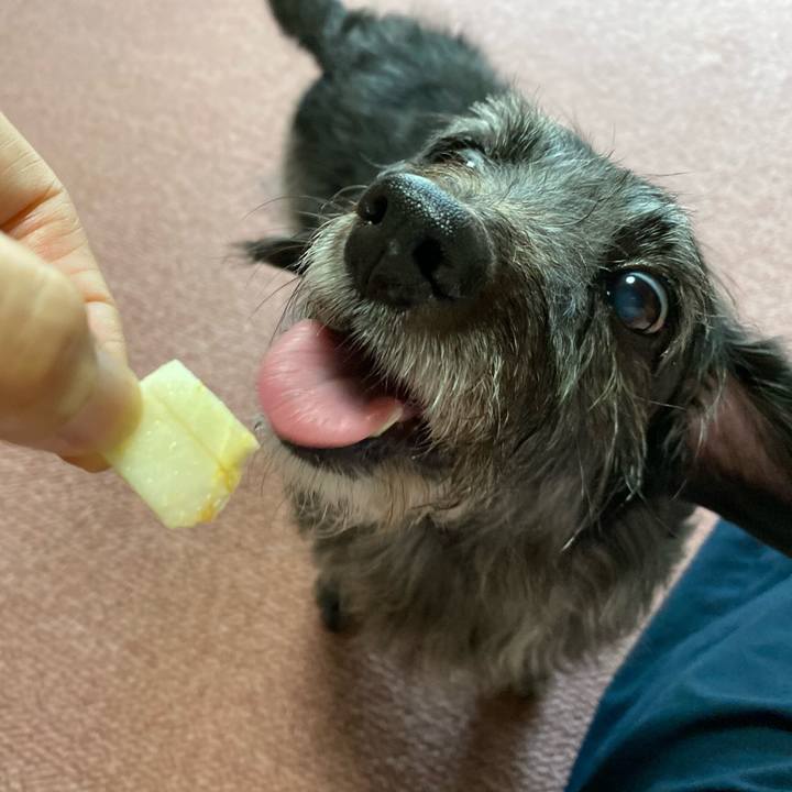 3f5088cf 5a00 4a7e b71f 758f51437dd9 1664147792371