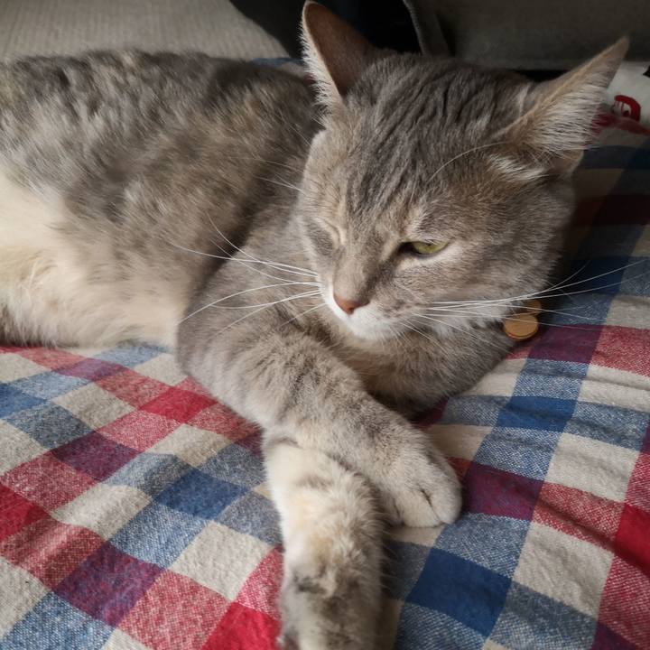 3f50c8ac de2f 43da b6e2 4e0d4c8bcd43 1559273516319