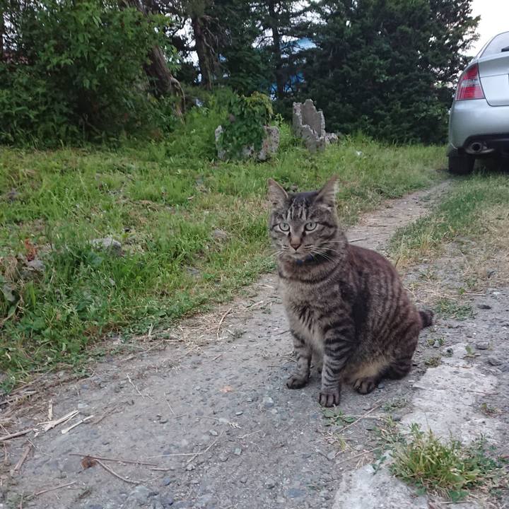 3f50d09a 5962 4071 9d4b ecb3ffe48579 1655980476019