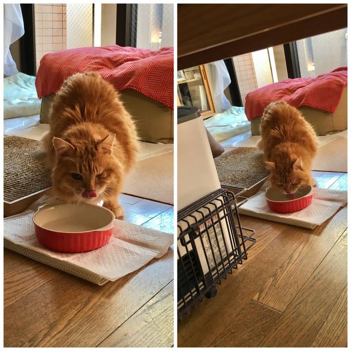 3f50d757 31dd 4a7d b2a2 43013a7a98d8 1597278242899